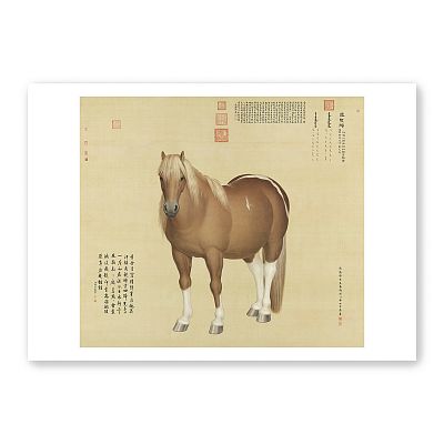 Product info: 圖卡＿郎世寧 一馬當先系列8入套組