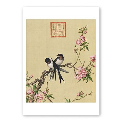 Product info: 圖卡＿郎世寧 仙萼長春鳥語系列8入套組